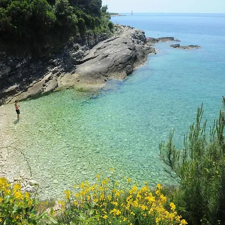 Διαμέρισμα Dijana