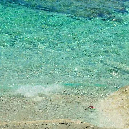 Dijana Διαμέρισμα